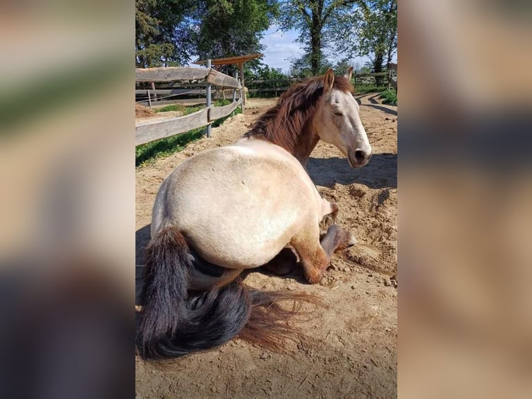 Stallingplaats voor buitenstalling
