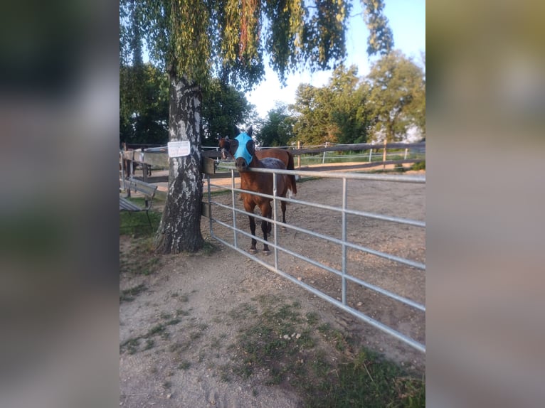 Stallingplaats voor buitenstalling