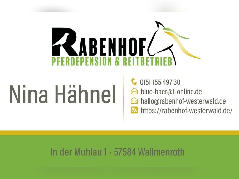 Vrije open stallplaatsen, mogelijk ook een box met paddockgang.