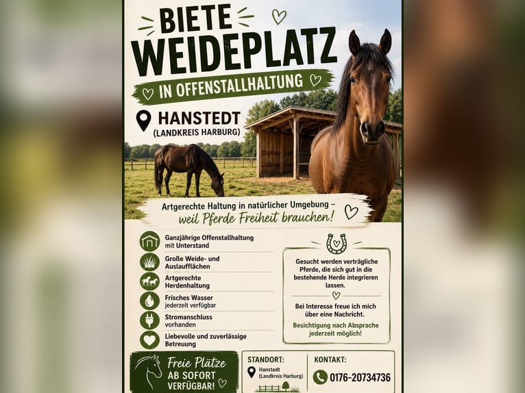 Vrije paddockplaatsen in Hanstedt (21271)
