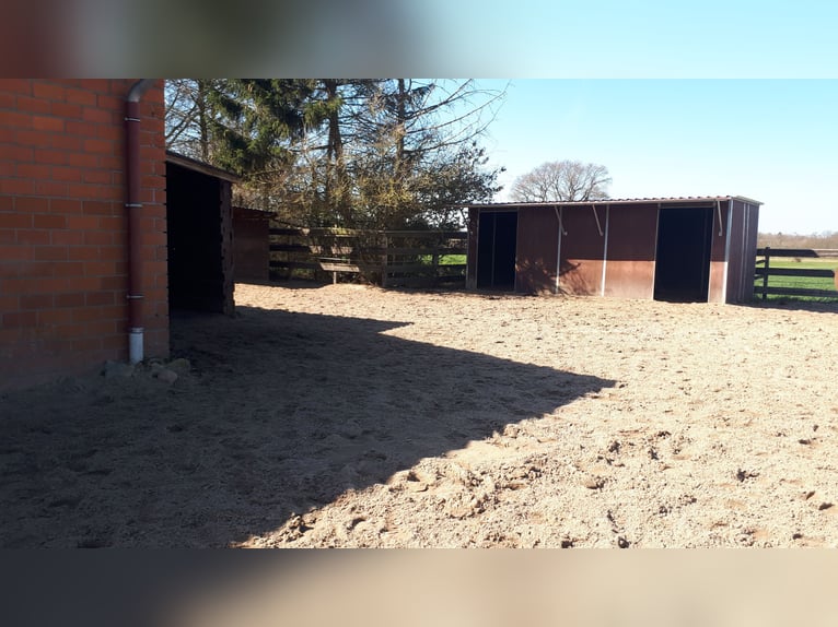 Vrije stallingplaatsen beschikbaar