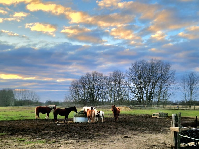 Vrije stalplaats in zelfvoorzienende gemeenschap, prijs op aanvraag