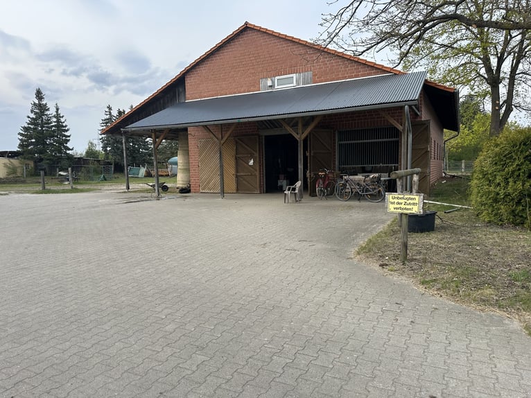 Vrije stalplaats voor een ruin in Osloß, postcode 38557