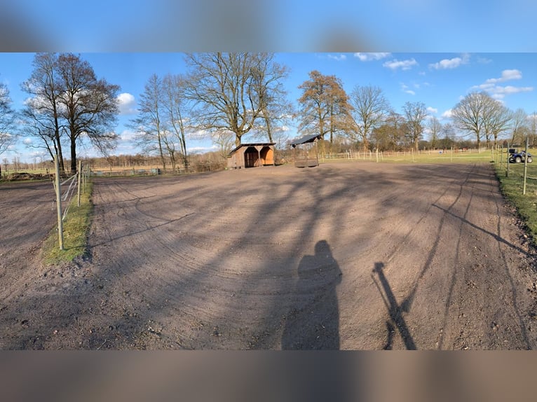 Vrijstalplaats in een privéstal