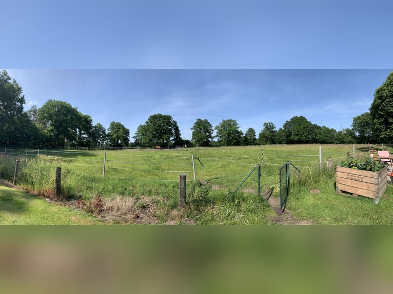 Vrijstalplaats in een privéstal