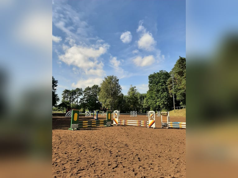 4 vrije paardenboxen bij de rij- en wagenvereniging Heuchling-Lauf e.V.
