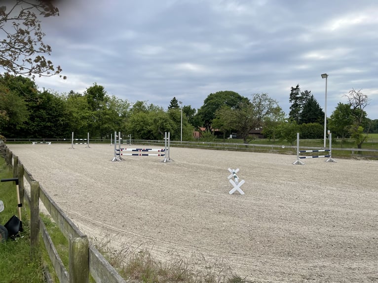 Box in privatem Stall bei Verden, Vollpension