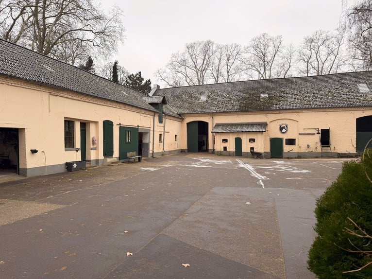 Box mit eigenem Paddock und Weide, zentrumnah