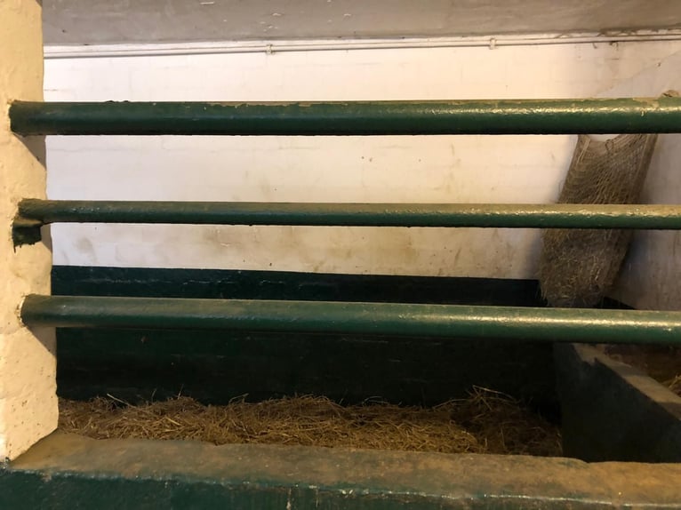 🔥 DE PLEK WAAR JOUW PAARD RUST KAN VINDEN – NIET ALLEEN EEN SCHUILPLAATS. 🔥