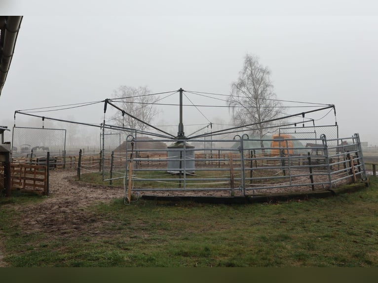 Fantastische stalgenootschap nog vrije boxen!