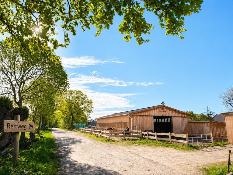 Idyllische staltrakt te huur, 8 boxen, buitenpaddocks, loopstal (helemaal of gedeeltelijk)