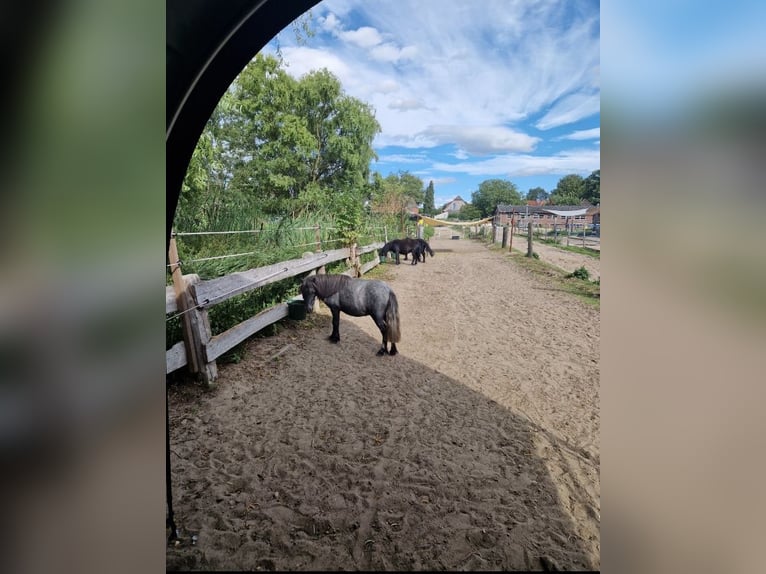 Boxen, Offenstallplatz 