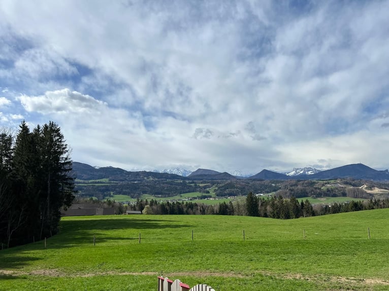 Einstellplatz in wunderschöner Lage