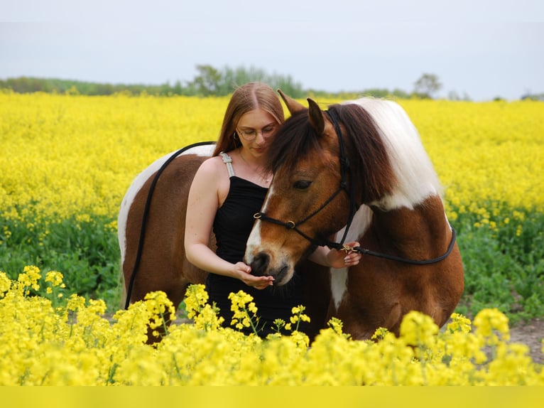 🐴 Gezocht: stallingplaats in de omgeving van Eckernförde 24340!