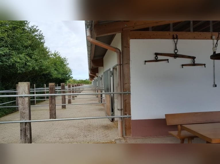 Grote paddock- en binnenstallen te huur