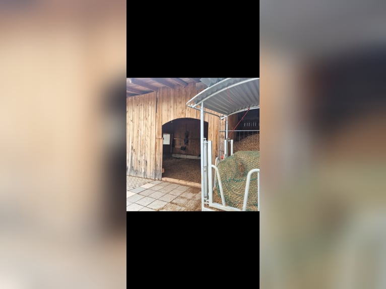 Kleine stallenvereniging