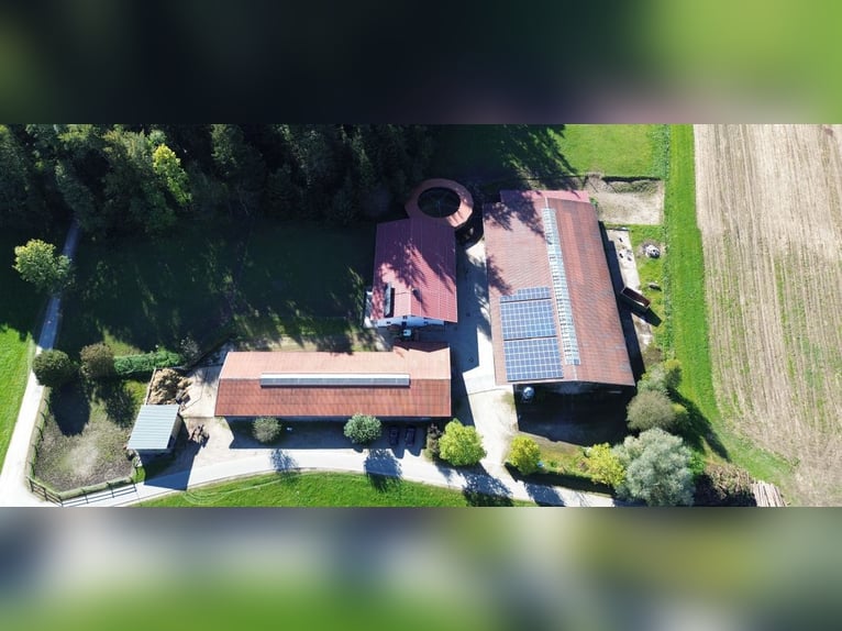 Neueröffnung: Reitanlage Breitbrunn am Chiemsee