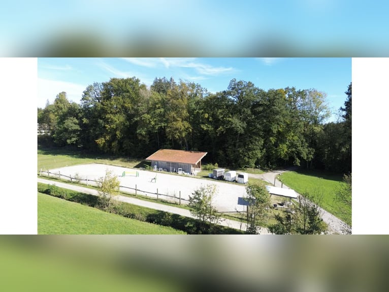 Neueröffnung: Reitanlage Breitbrunn am Chiemsee