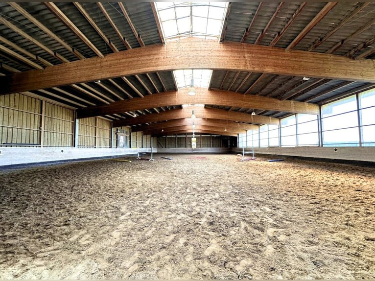 Neueröffnung: Reitanlage Breitbrunn am Chiemsee
