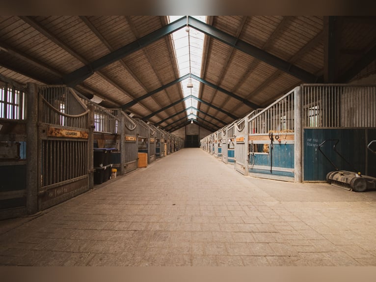 🐴 Paddockbox beschikbaar op Gut Leimershof bij Bamberg ❤️