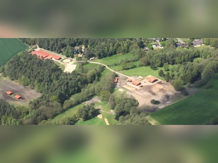 Paddockbox op een goed onderhouden ruitercentrum