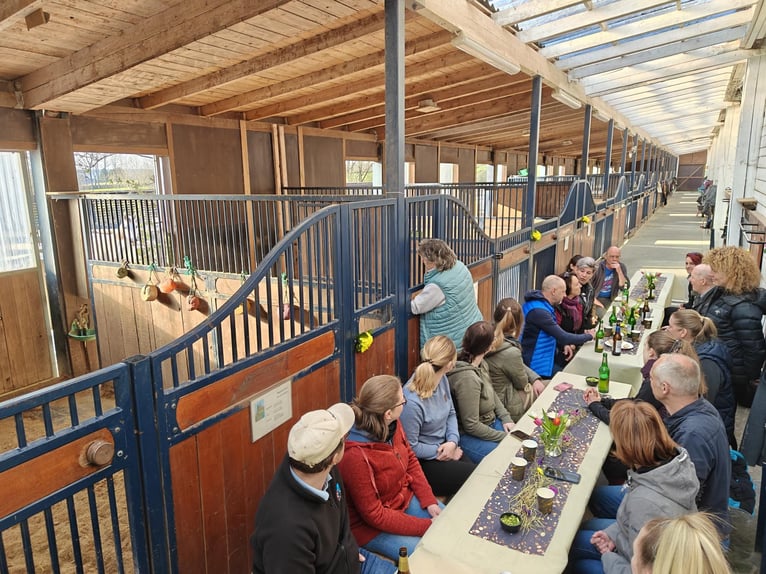 Paddockboxen, loopstal, open stall in vol pension of zelfvoorzienend