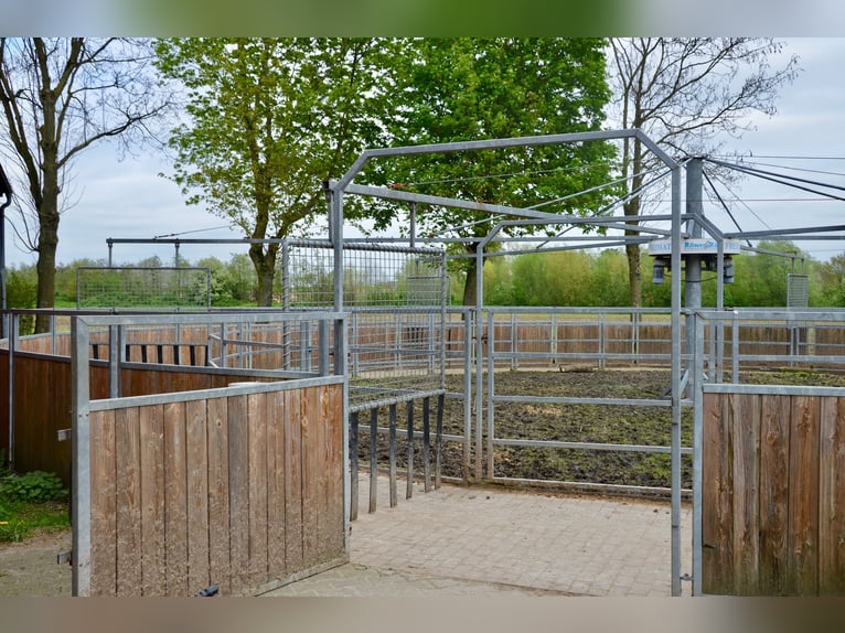 Privéstal in de regio Münsterland