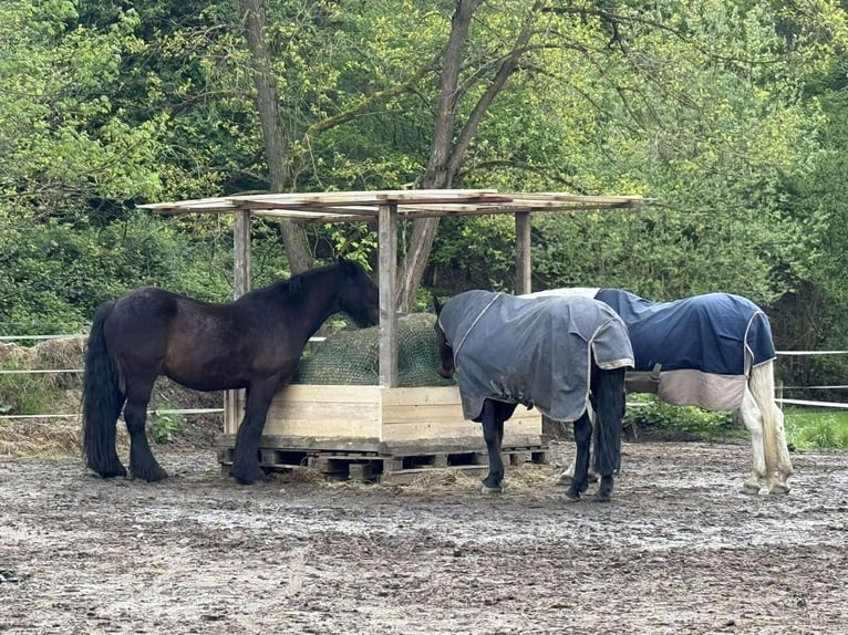 Stal vrij met veel buitenruimte
