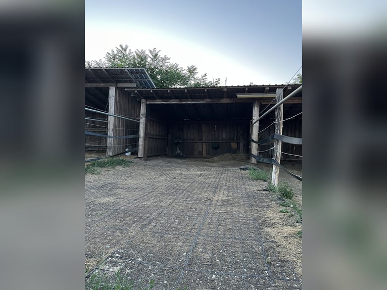 Te koop: stallingplaatsen beschikbaar