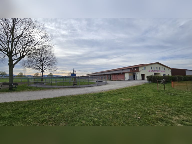 Vrije paddockboxen te huur in Mannheim-Seckenheim