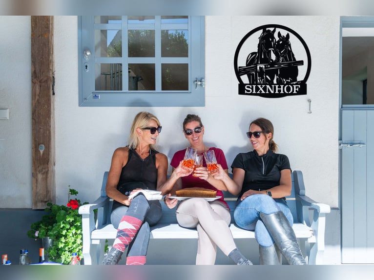 Paardenbox / Box in een manege / Paardenstal / Stal