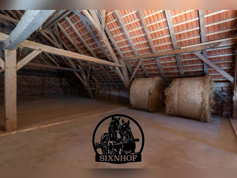 Paardenbox / Box in manege / Stal / Huur een stal