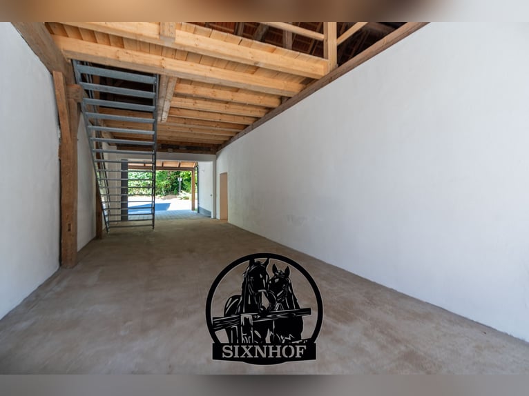 Paardenbox / Box in manege / Stal / Huur een stal