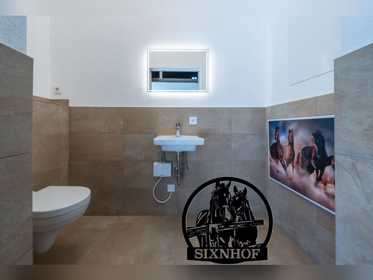 Paardenbox / Box in manege / Stal / Huur een stal