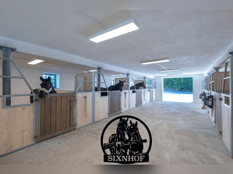 Paardenbox / Box in manege / Stal / Huur een stal