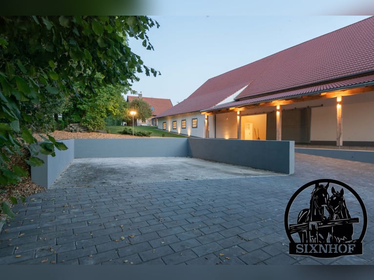 Paardenbox / Box in manege / Stal / Huur een stal