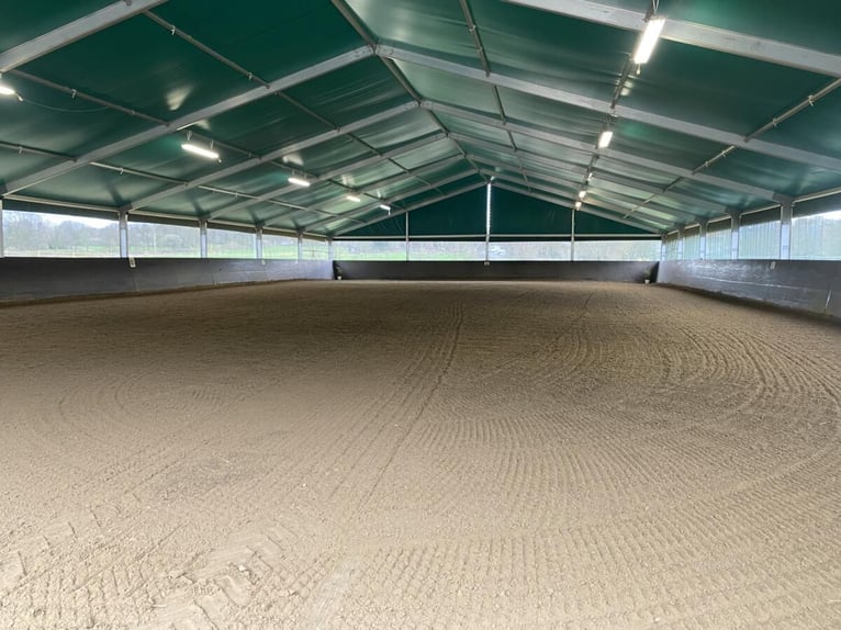 PLAATSEN VRIJ – RUSTIGE, GROENE STAL MET PADDOCKS 🌿 Alles nieuw begint in mei 🍃