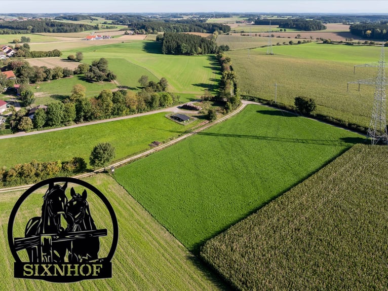 Reitstall, Pferdestall, Stalltrakt, Pferdeboxen, mieten, pachten