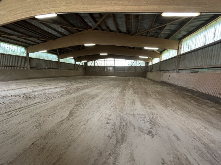 Ruime paardenboxen te huur vanaf nu