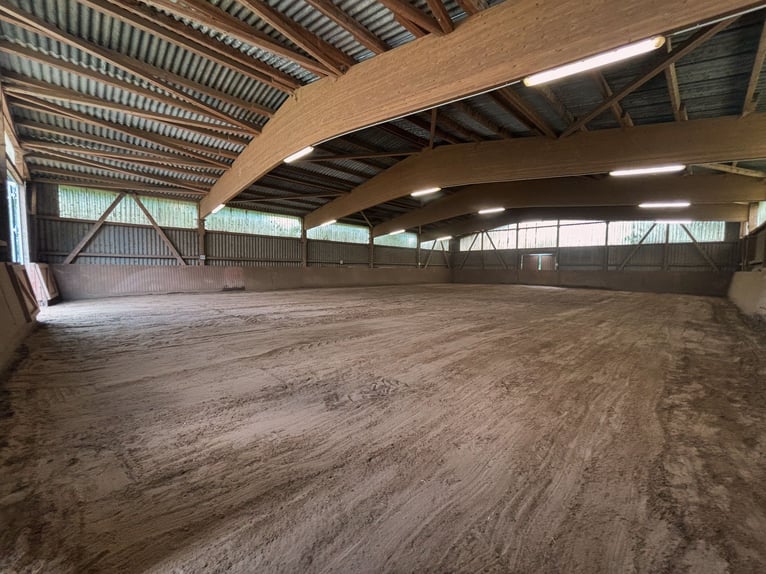 Ruime paardenboxen te huur vanaf nu