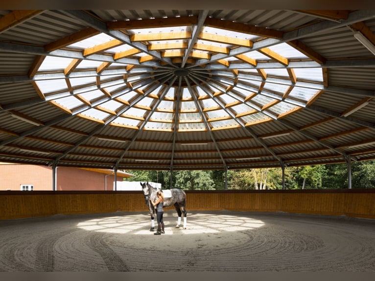 Vrije boxen op een toplocatie in Mecklenburg - nieuwbouw!!