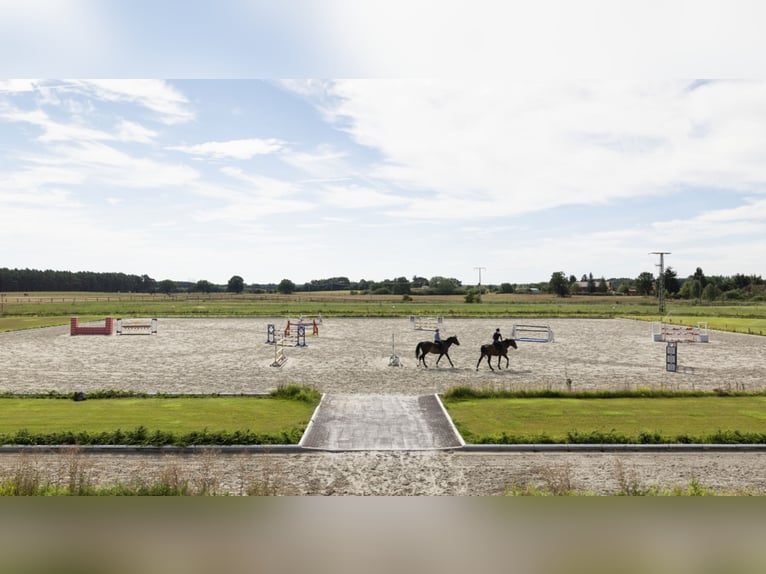 Vrije boxen op een toplocatie in Mecklenburg - nieuwbouw!!
