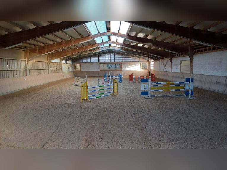 Vrije pensionboxen, ten zuiden van München, paardenboxen, manege
