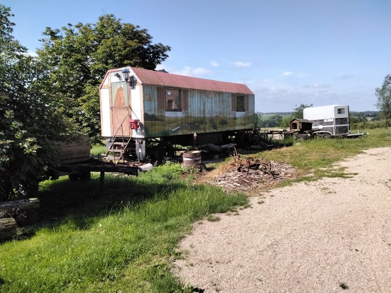 Koppel,Stall und Wohnung (Wohnen mit dem Pferd)