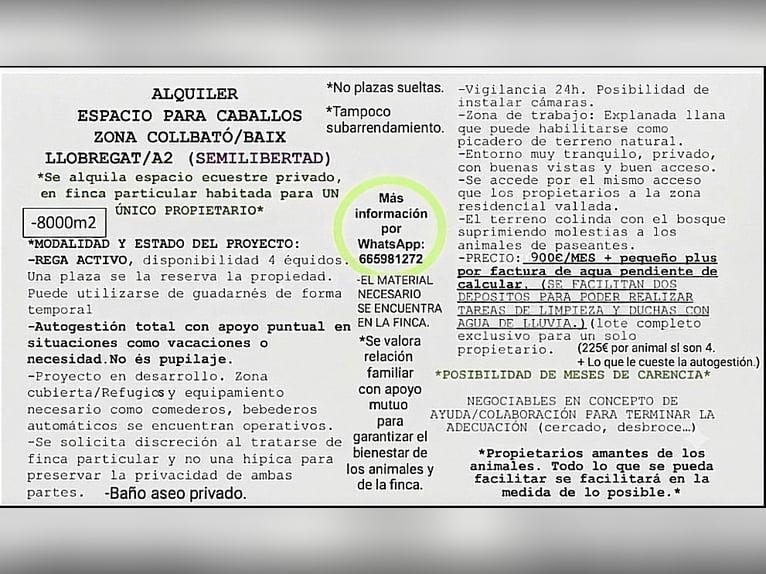 Ruimte voor 4 paarden in semi-vrijstaande stal in Collbató / Baix Llobregat