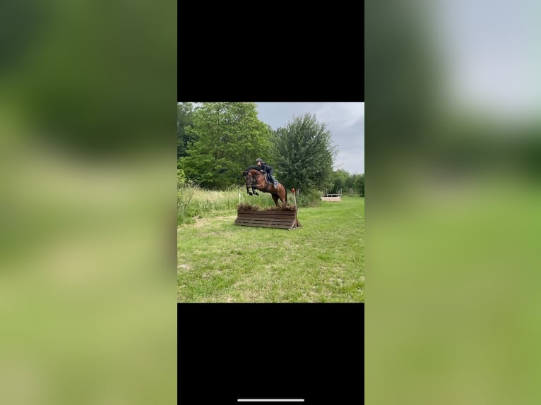 Beschikbaar voor training op locatie in Noordrijn-Westfalen – maatwerkopleiding tot klasse S