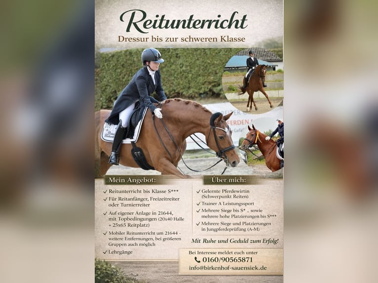 Dressuuropleiding tot niveau S***