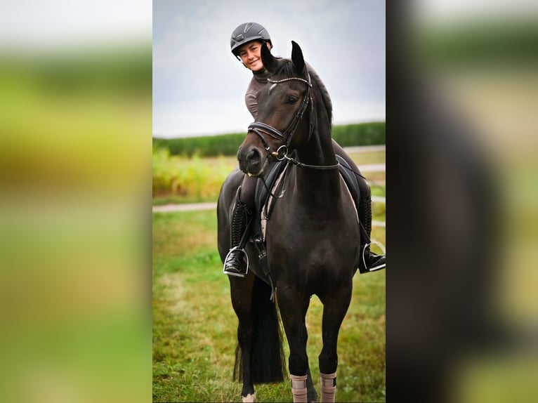 Opleidingsplek in een familiaire omgeving