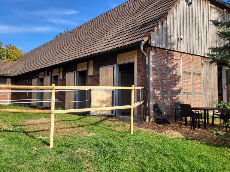 Paardenrittenplaats - persoonlijk en holistisch