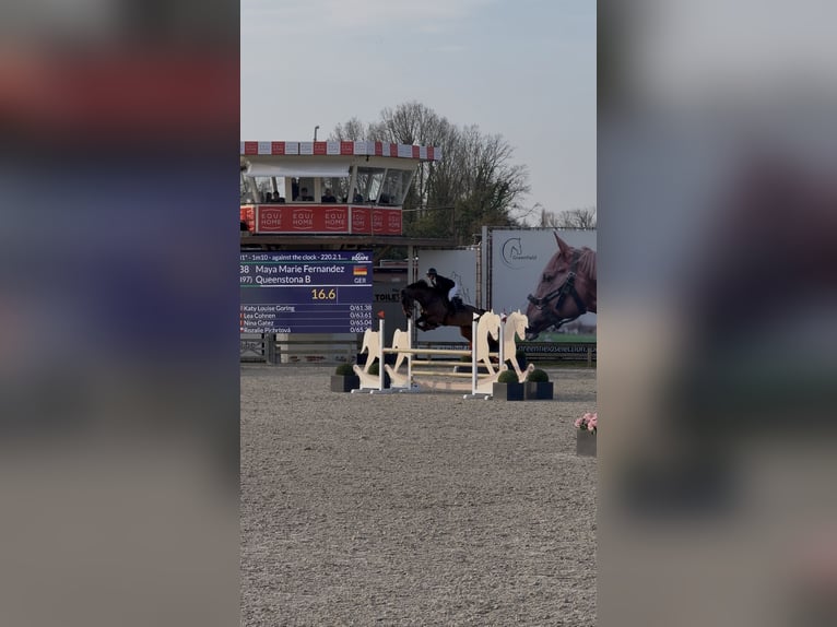 Plaats vrij voor training onder het zadel